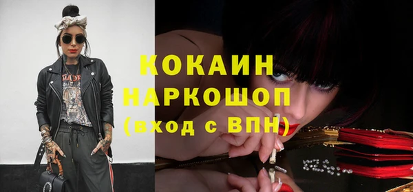 spice Абаза