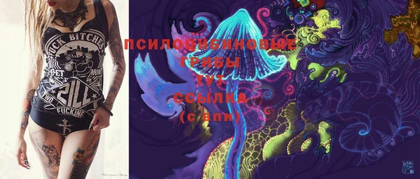 амф Абинск