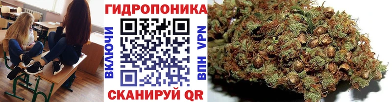 закладки  Нижневартовск  Бошки марихуана SATIVA & INDICA 
